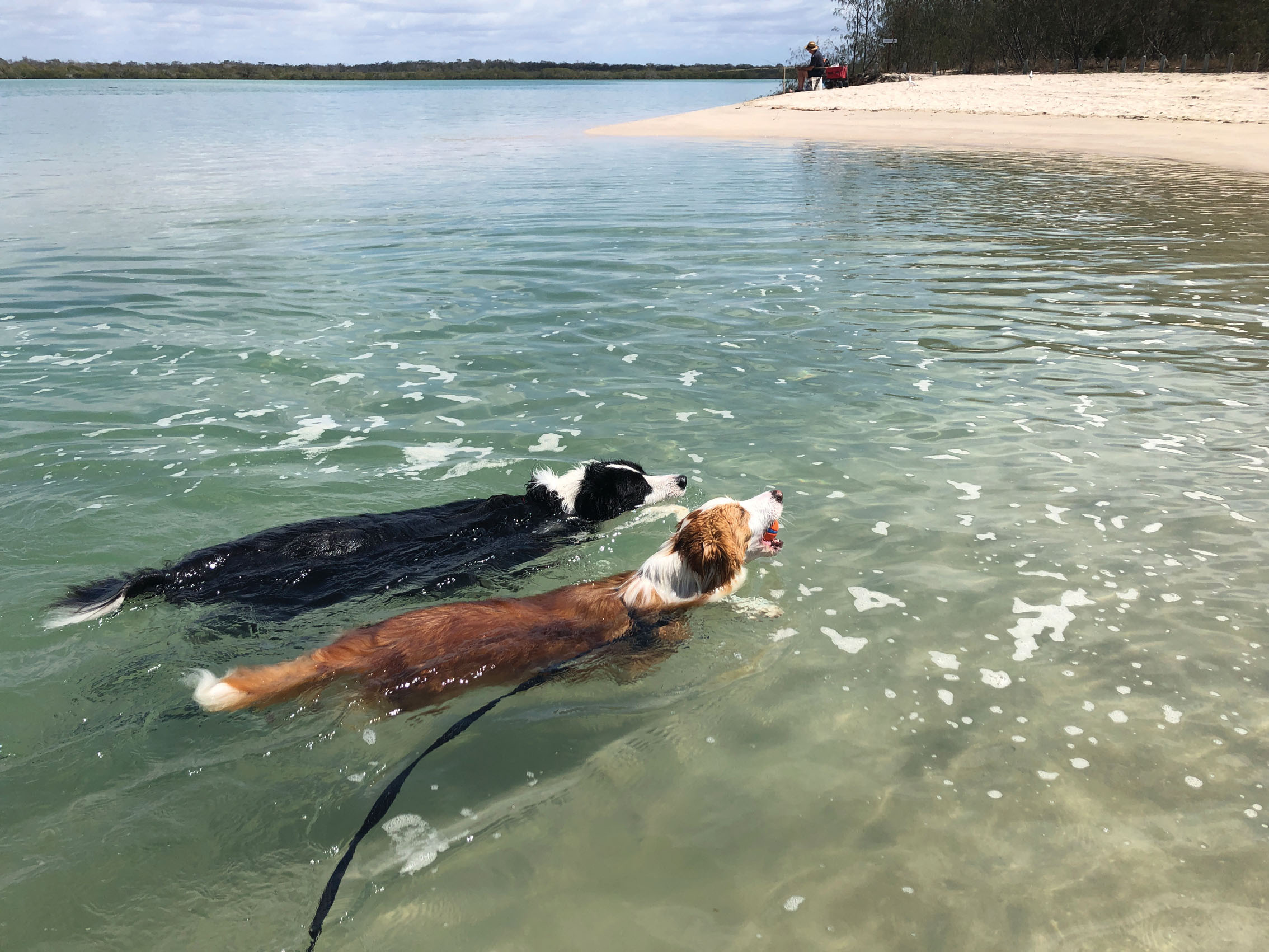 Taking in the great outdoors
