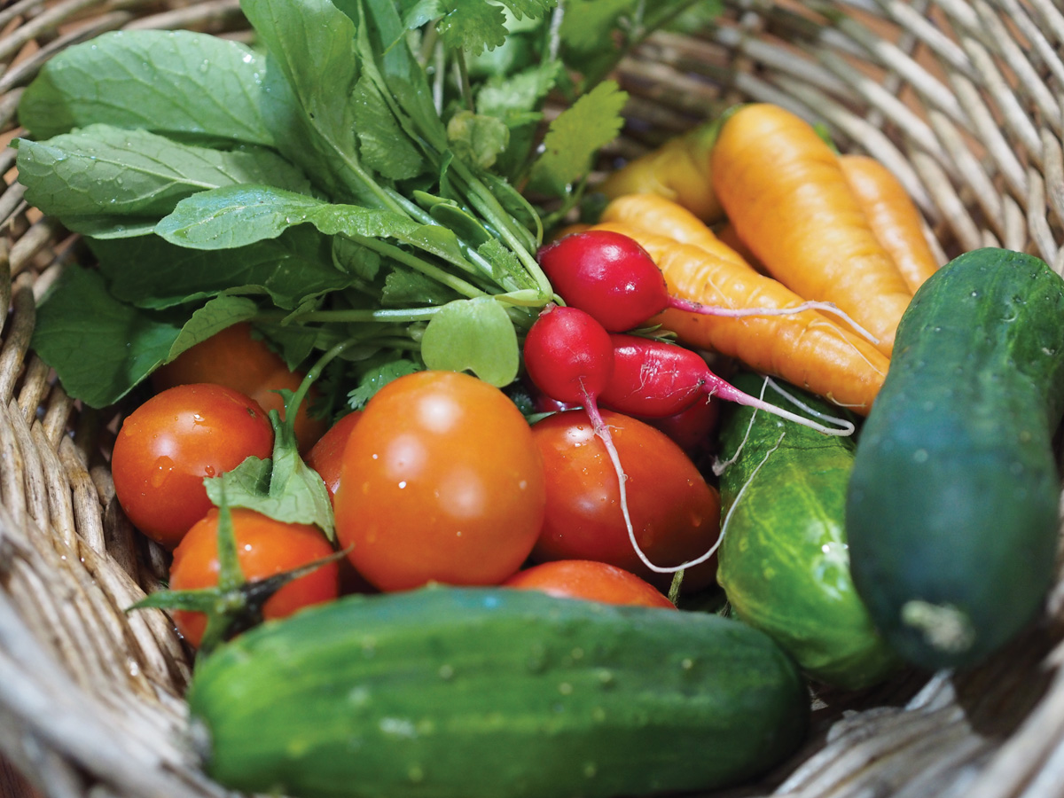 Summer gardening for the brave hearts