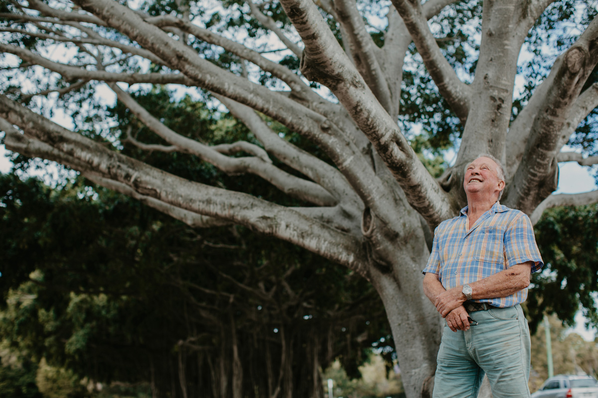 History in fig tree roots