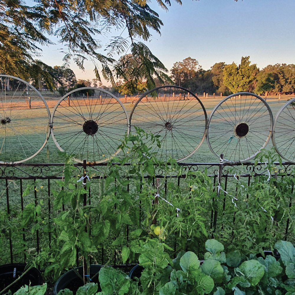 Your garden is what you make it