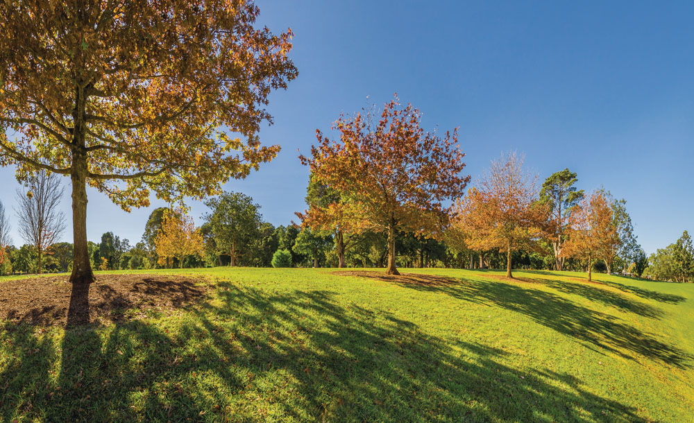 Turning on the charm -Toowoomba