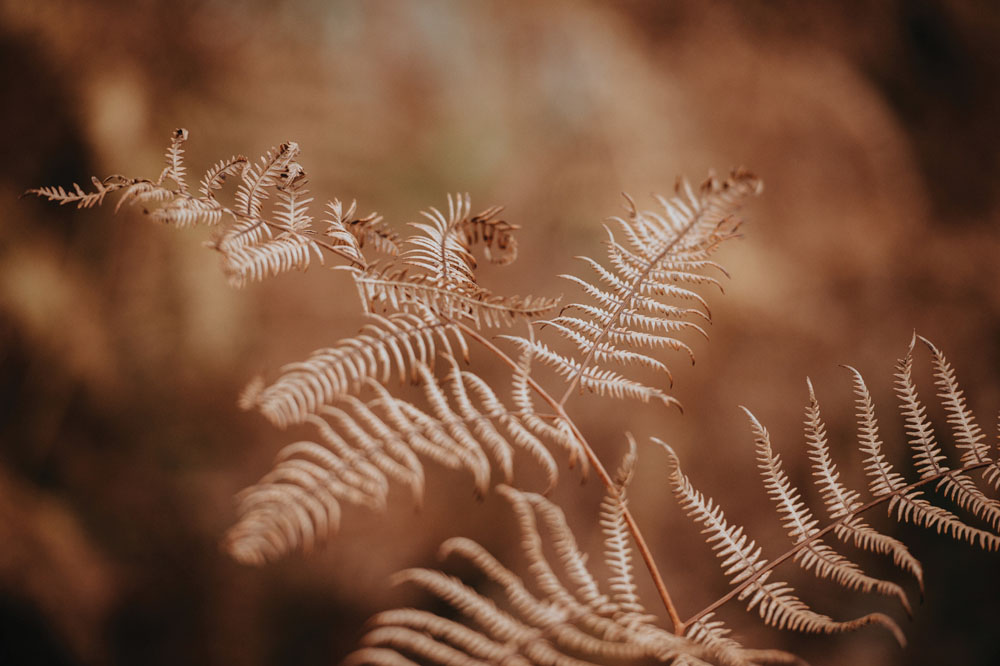 August inspiration