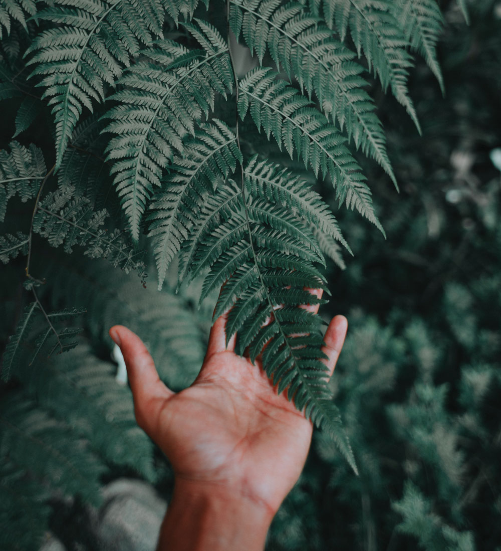 Gratitude in sickness and in health