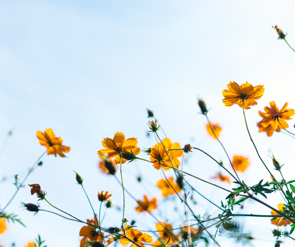 January inspiration