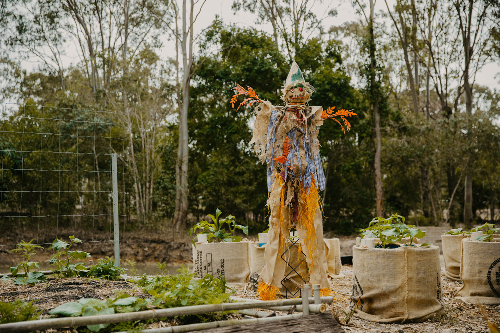 Halloween in Australia: Trick or Treat?