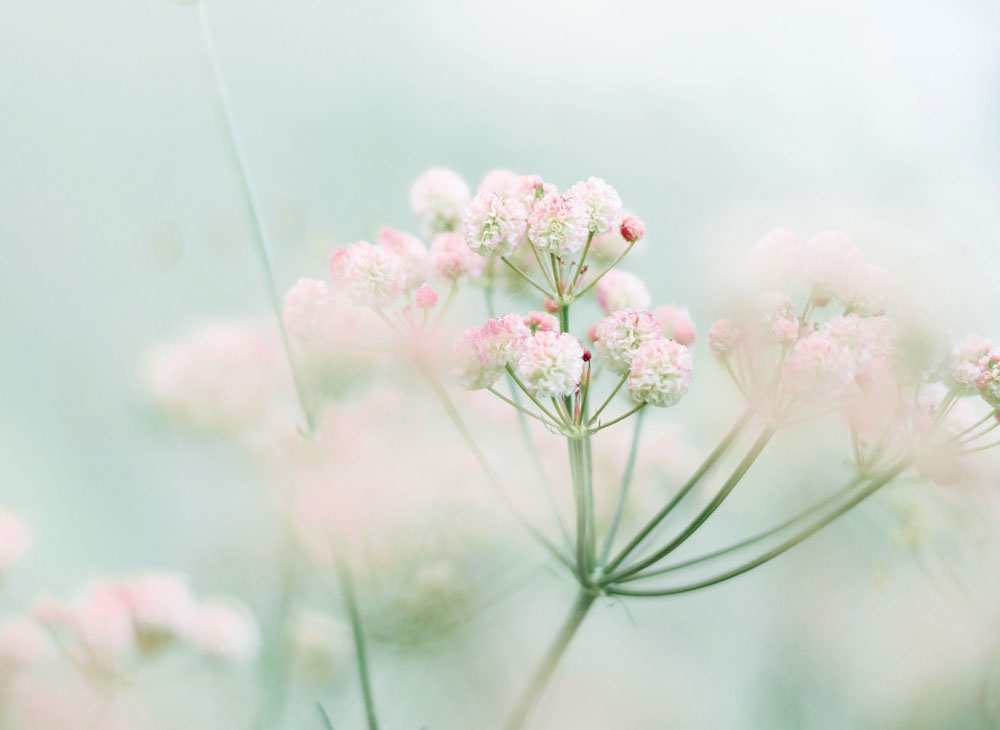 September 2023 inspiration