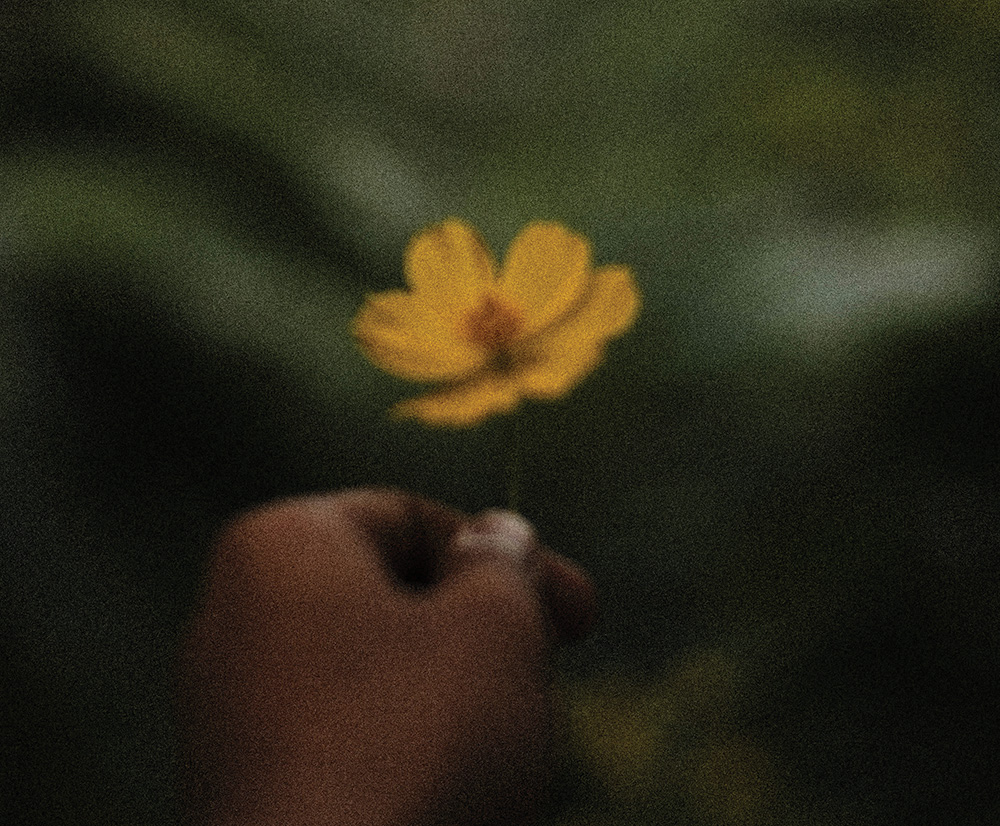 Your Soul Chose You
