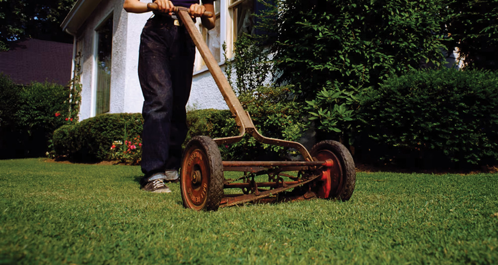 The Lawn Boy