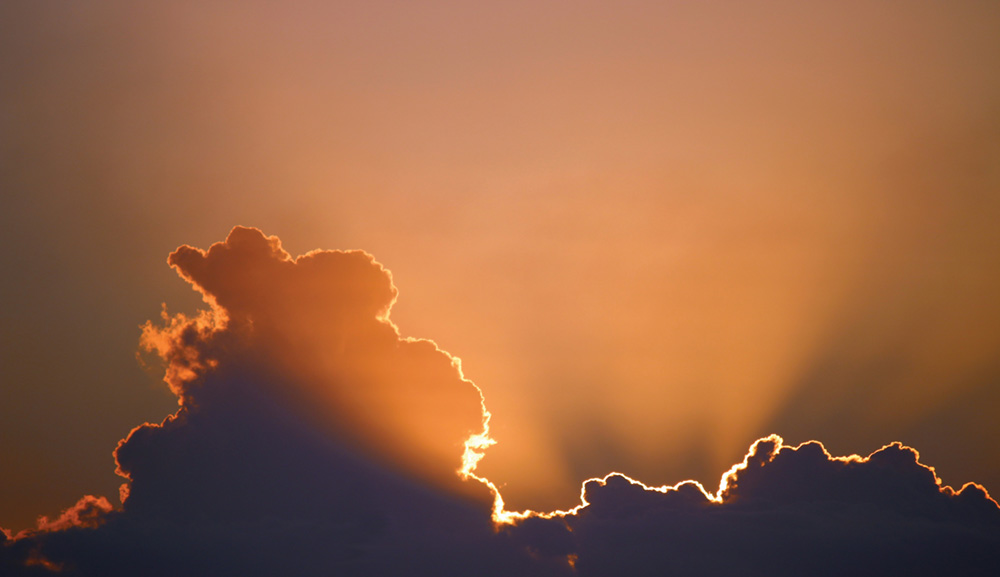 Whose light lifts you?