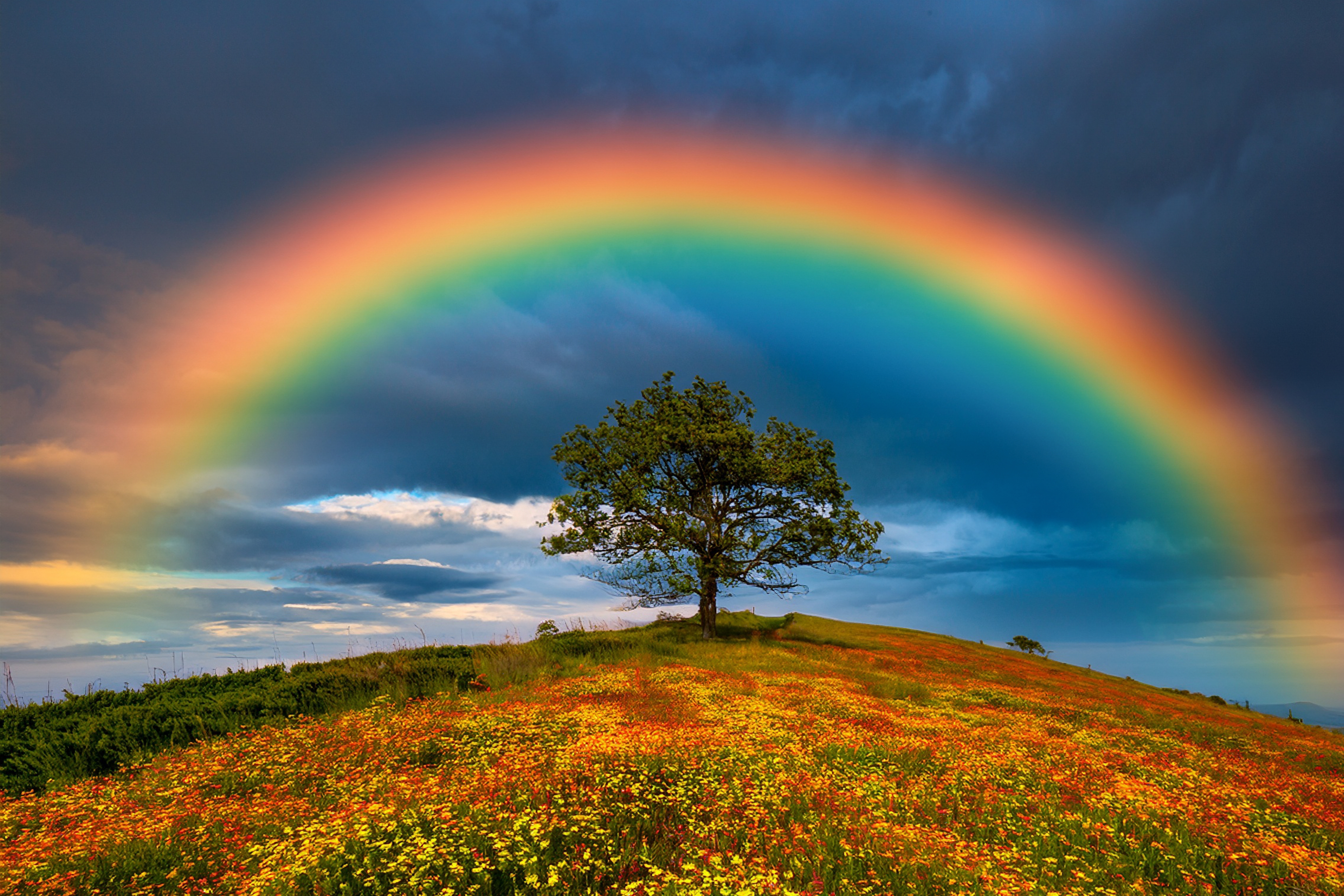 Rainbows without unicorns