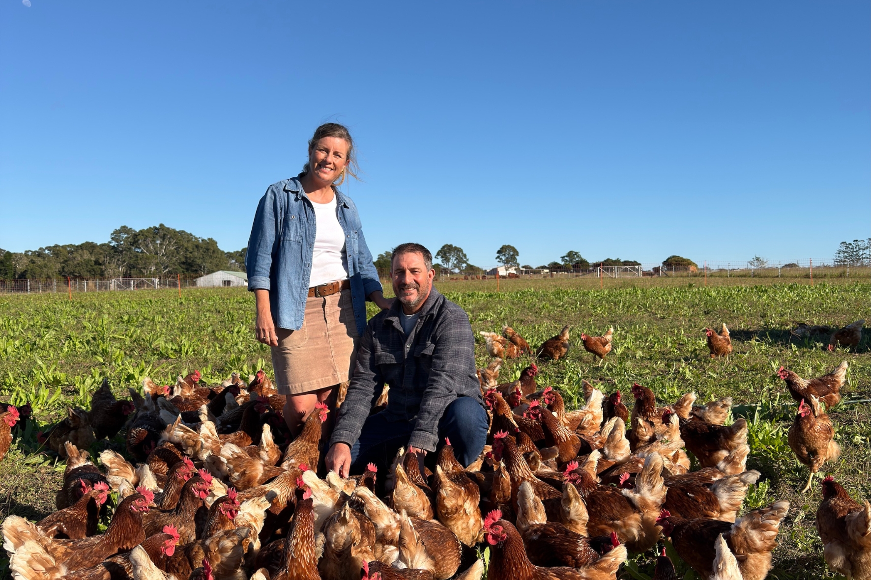 Our Journey into Regenerative Farming