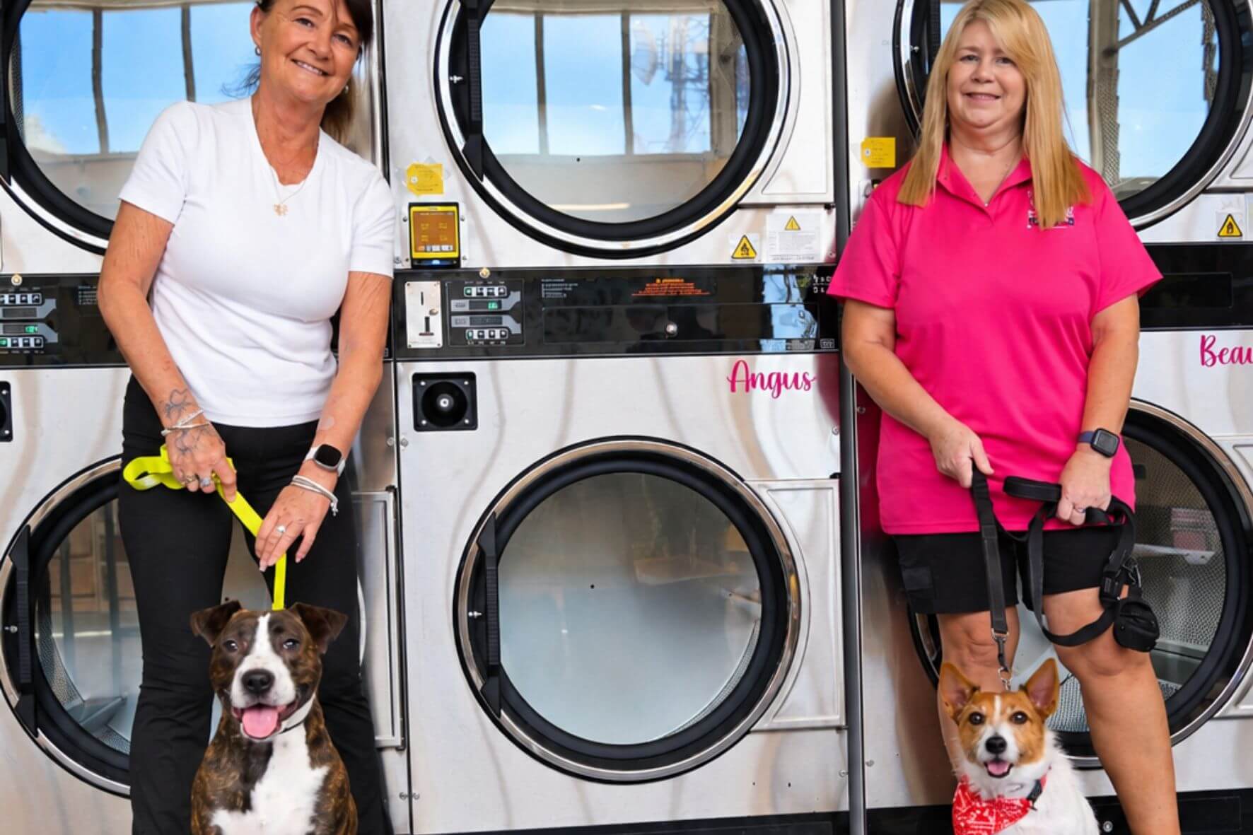A Fresh Start with Happy Tails